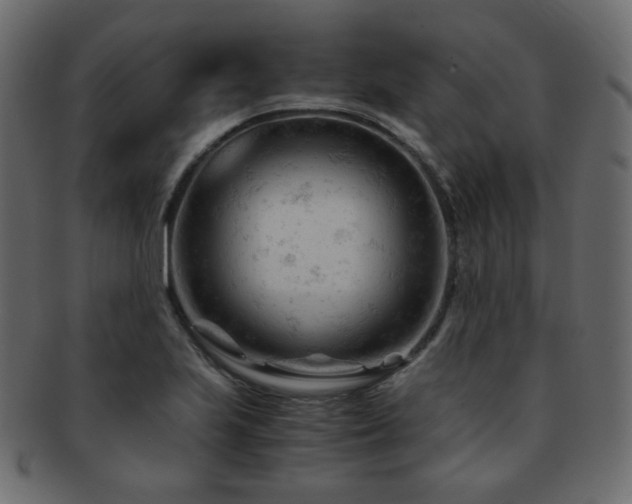 X0000092311223200709141346