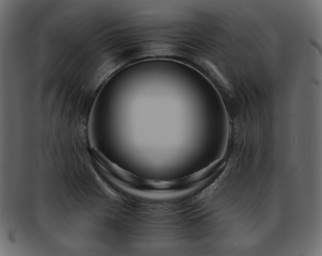 X0000092311225200709141346