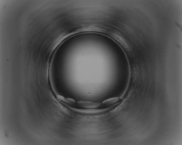 X0000092311228200709141346