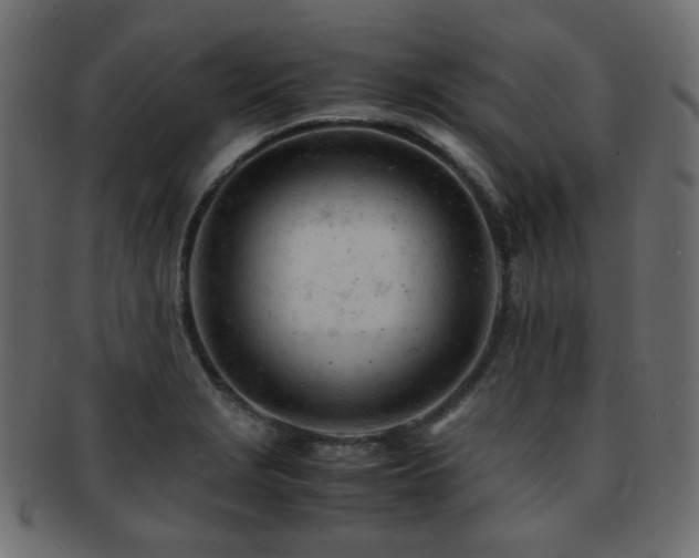 X0000092311229200709141347