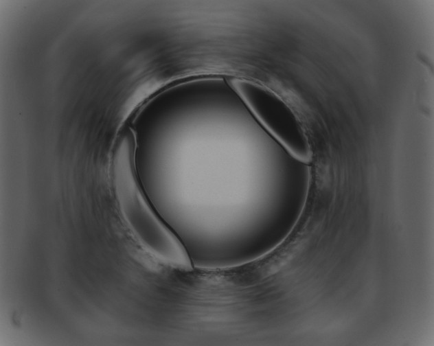 X0000092311230200709141347