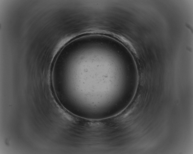 X0000092311231200709141347
