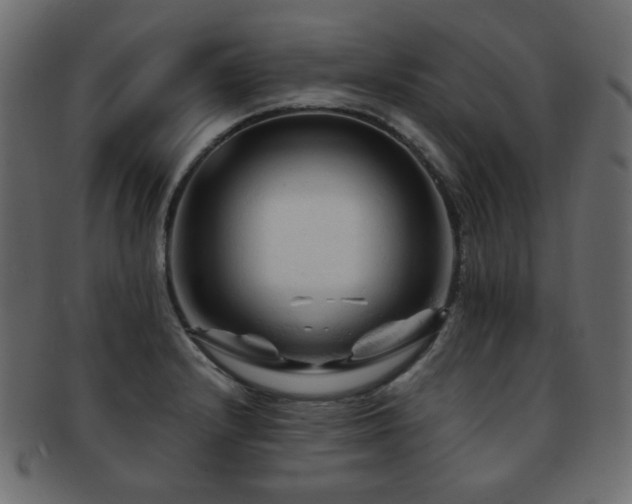 X0000092311232200709141347