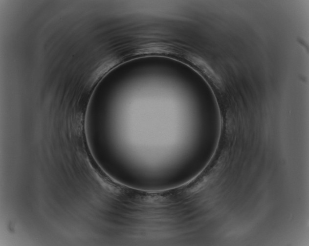 X0000092311233200709141347
