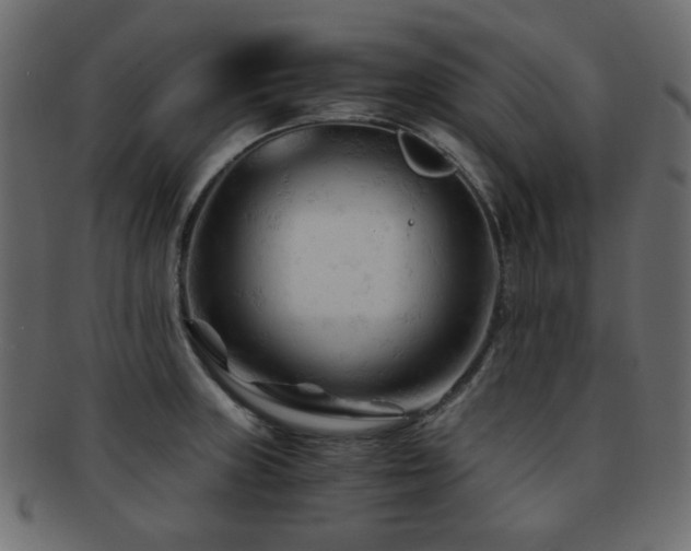 X0000092311235200709141347