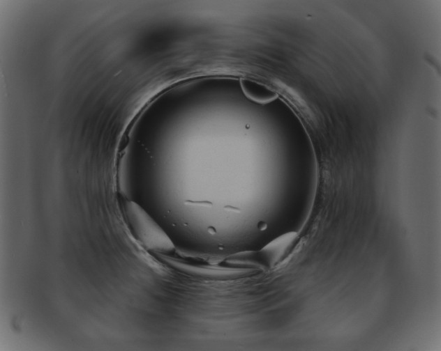 X0000092311236200709141347