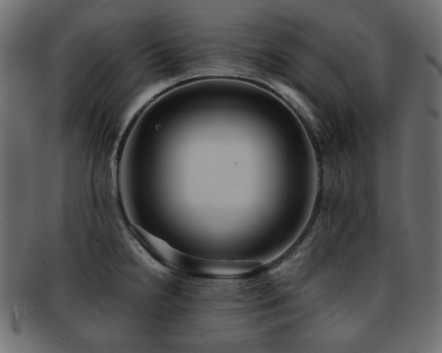 X0000092311238200709141347