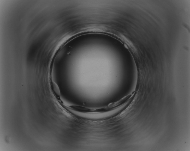 X0000092311240200709141347