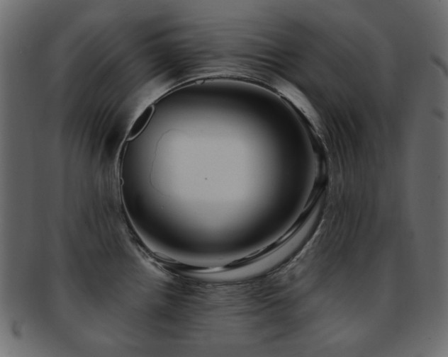 X0000092311242200709141347