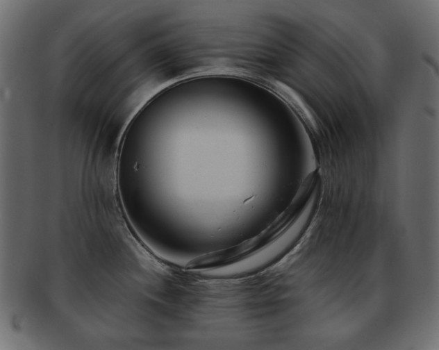 X0000092311244200709141347
