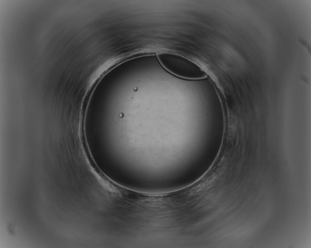 X0000092311245200709141347