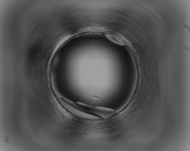 X0000092311248200709141347