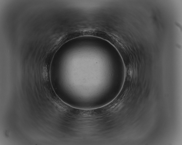 X0000092311252200709141346