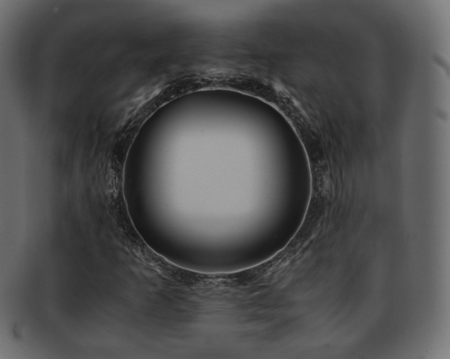 X0000092311253200709141346