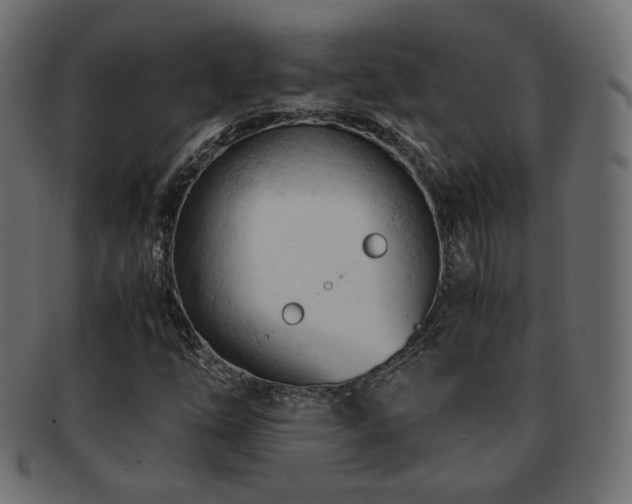 X0000092311254200709141346