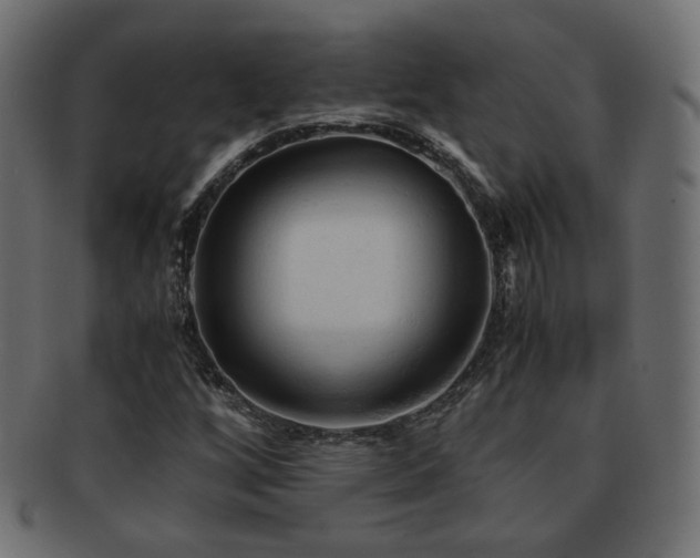 X0000092311256200709141346
