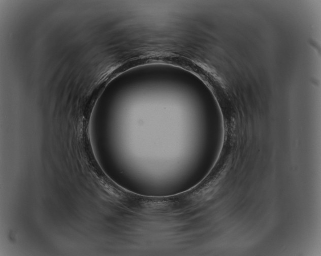 X0000092311257200709141346
