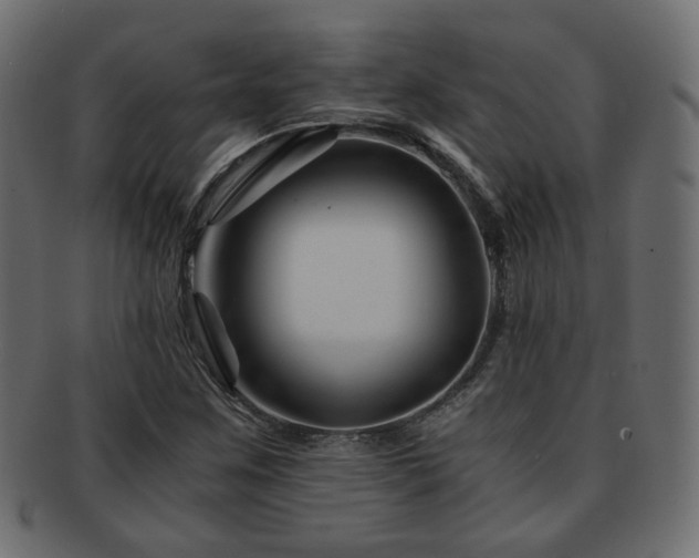 X0000092311259200709141346