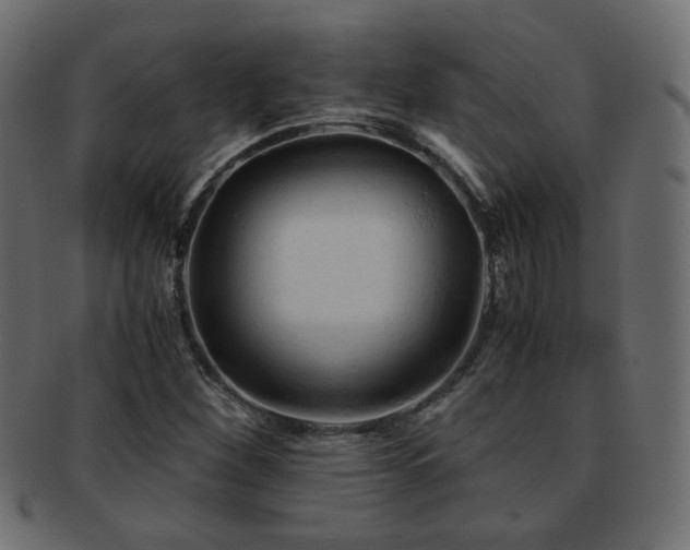 X0000092311260200709141346