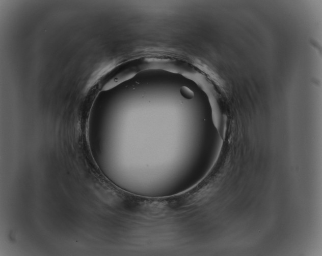 X0000092311261200709141346