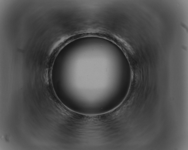 X0000092311262200709141346