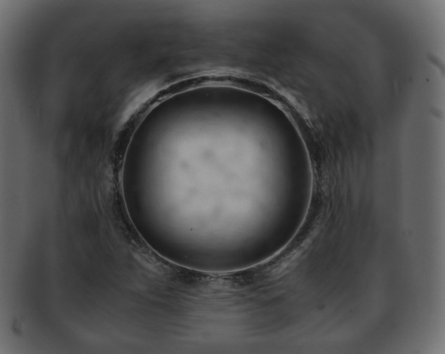 X0000092311263200709141346