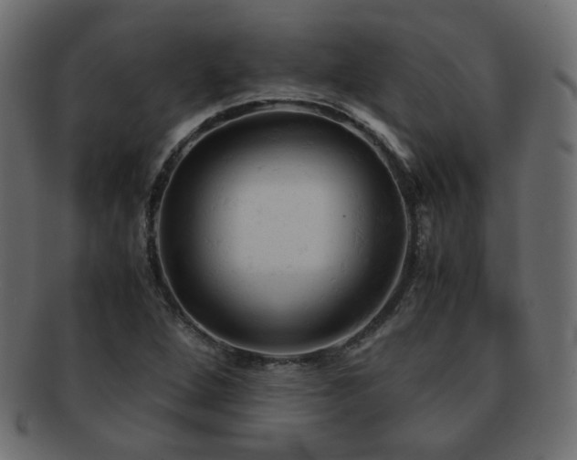 X0000092311264200709141346