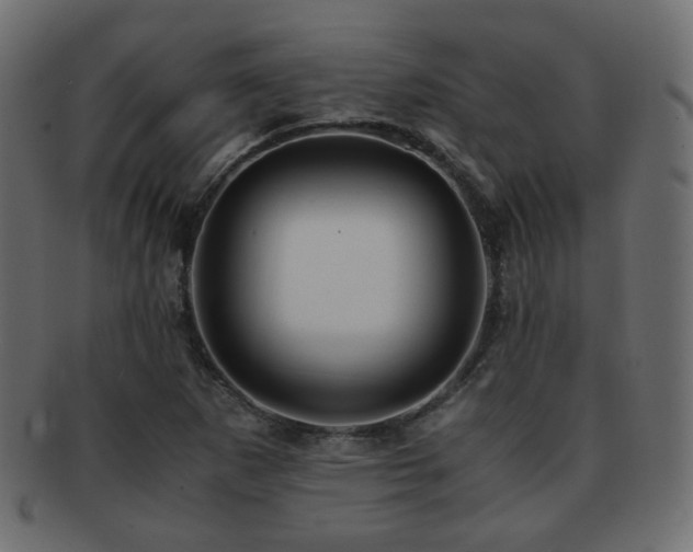 X0000092311265200709141346