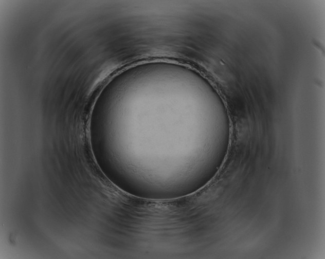 X0000092311266200709141346