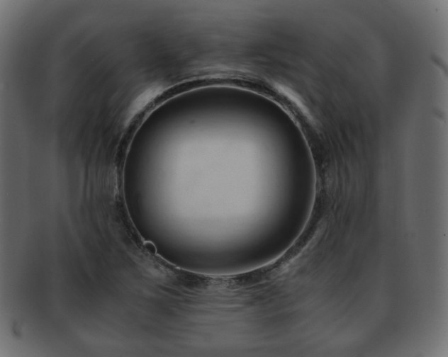 X0000092311267200709141346