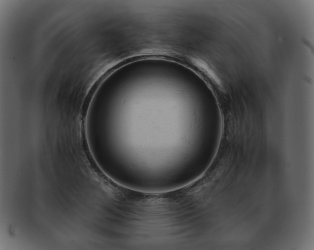 X0000092311268200709141346