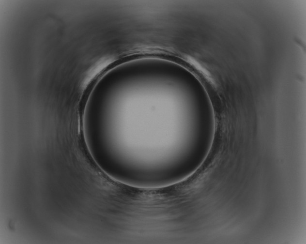 X0000092311269200709141346