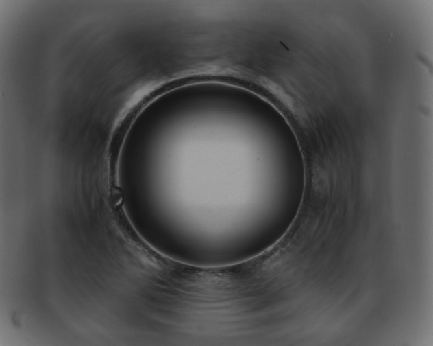 X0000092311270200709141346