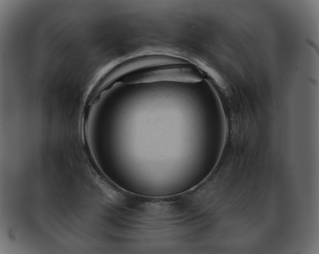 X0000092311272200709141346