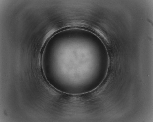 X0000092311275200709141346