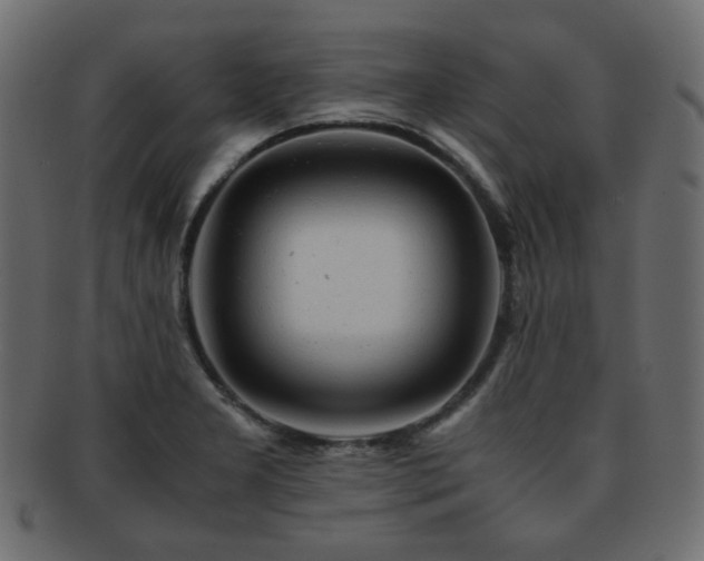 X0000092311277200709141346
