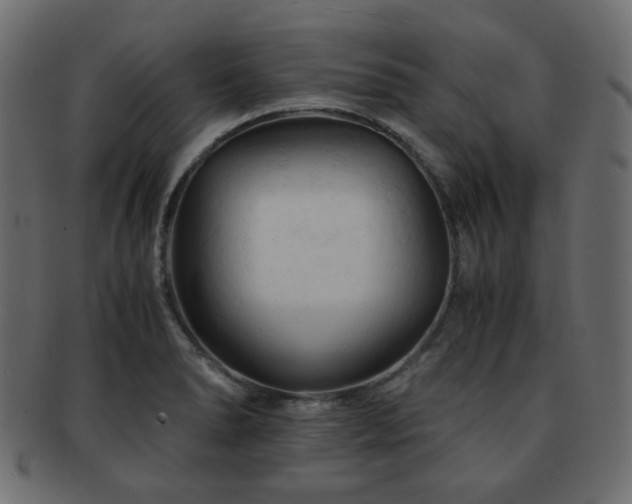 X0000092311278200709141346