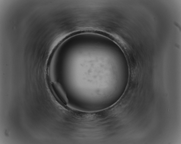 X0000092311279200709141346