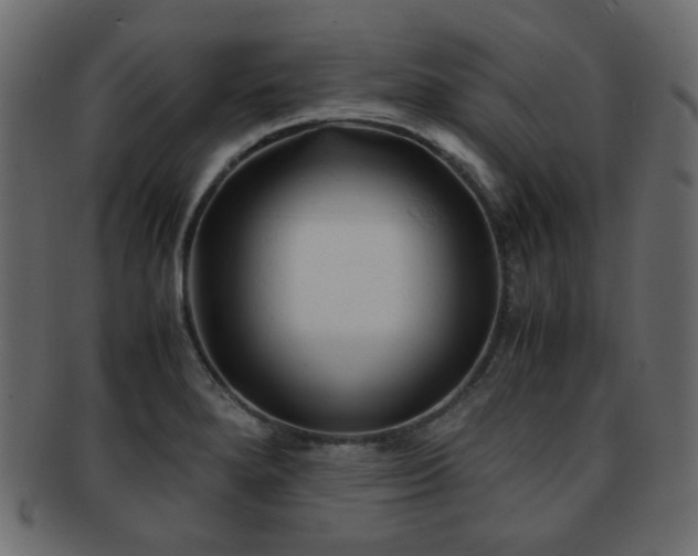 X0000092311280200709141346