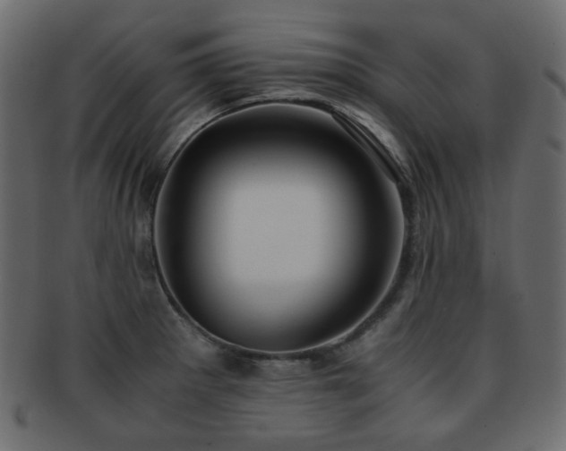 X0000092311281200709141346