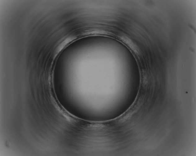 X0000092311282200709141346