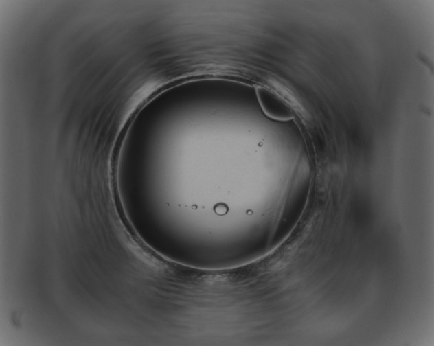X0000092311283200709141346