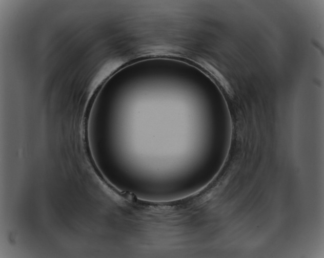 X0000092311285200709141346