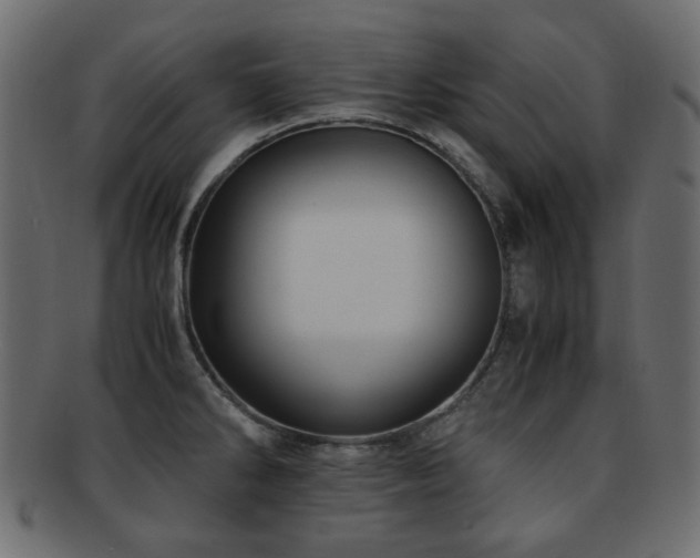 X0000092311286200709141346