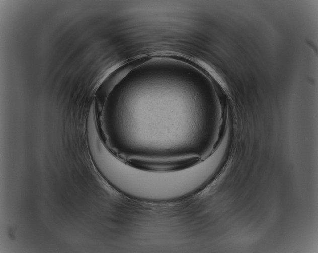 X0000092311289200709141346