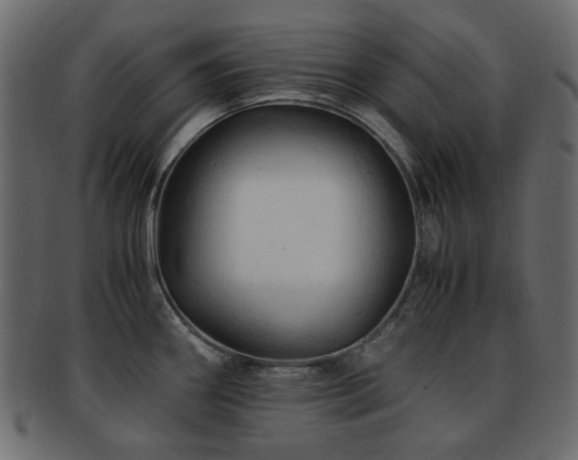 X0000092311290200709141346
