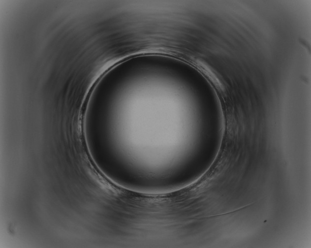 X0000092311292200709141345