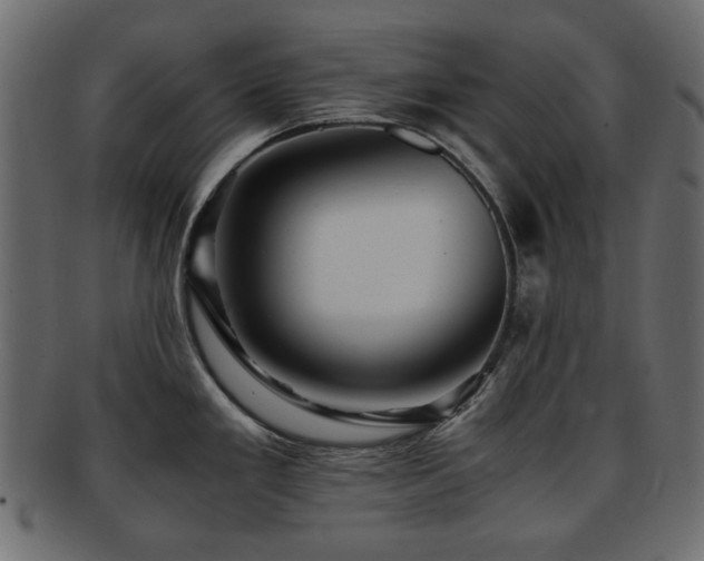 X0000092311293200709141345