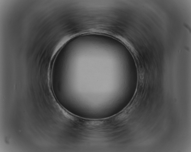 X0000092311294200709141345