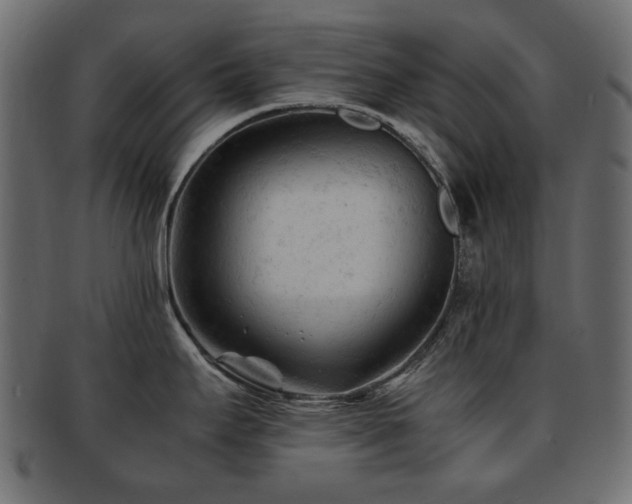 X0000092311295200709141345
